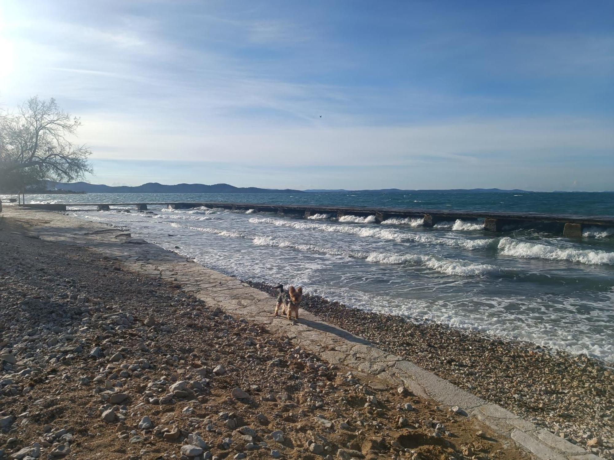 Zadar Beach Apartments Dış mekan fotoğraf