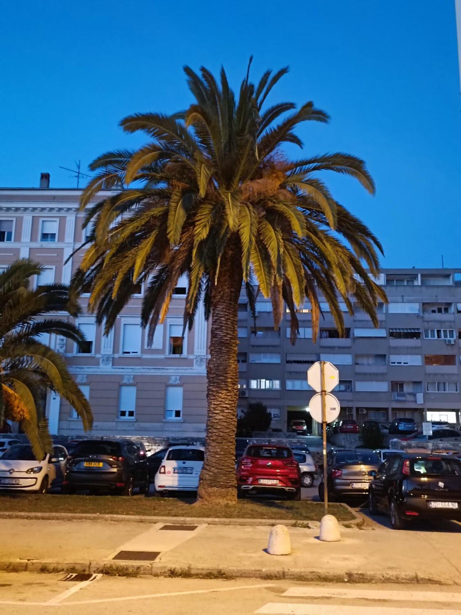 Zadar Beach Apartments Dış mekan fotoğraf
